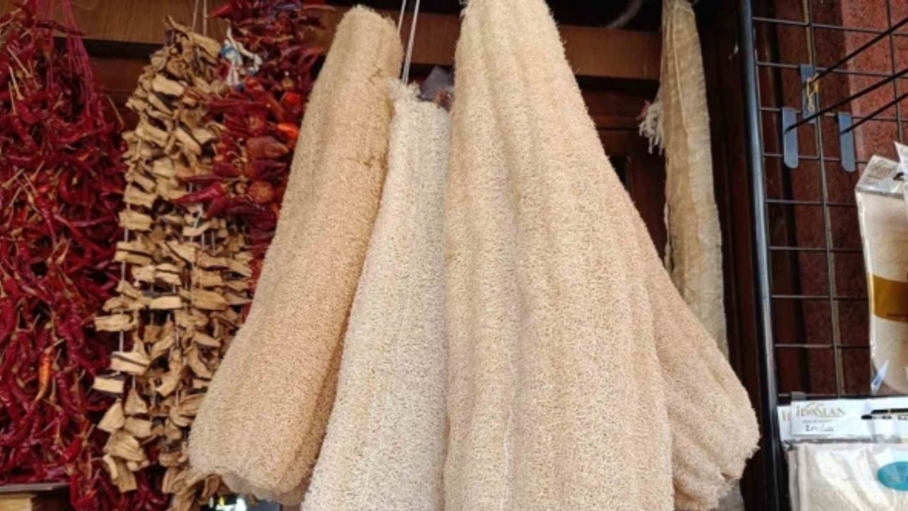 Mutfaklarda bulaşık süngeri yerine kabak lifi kullanımı yaygınlaşıyor