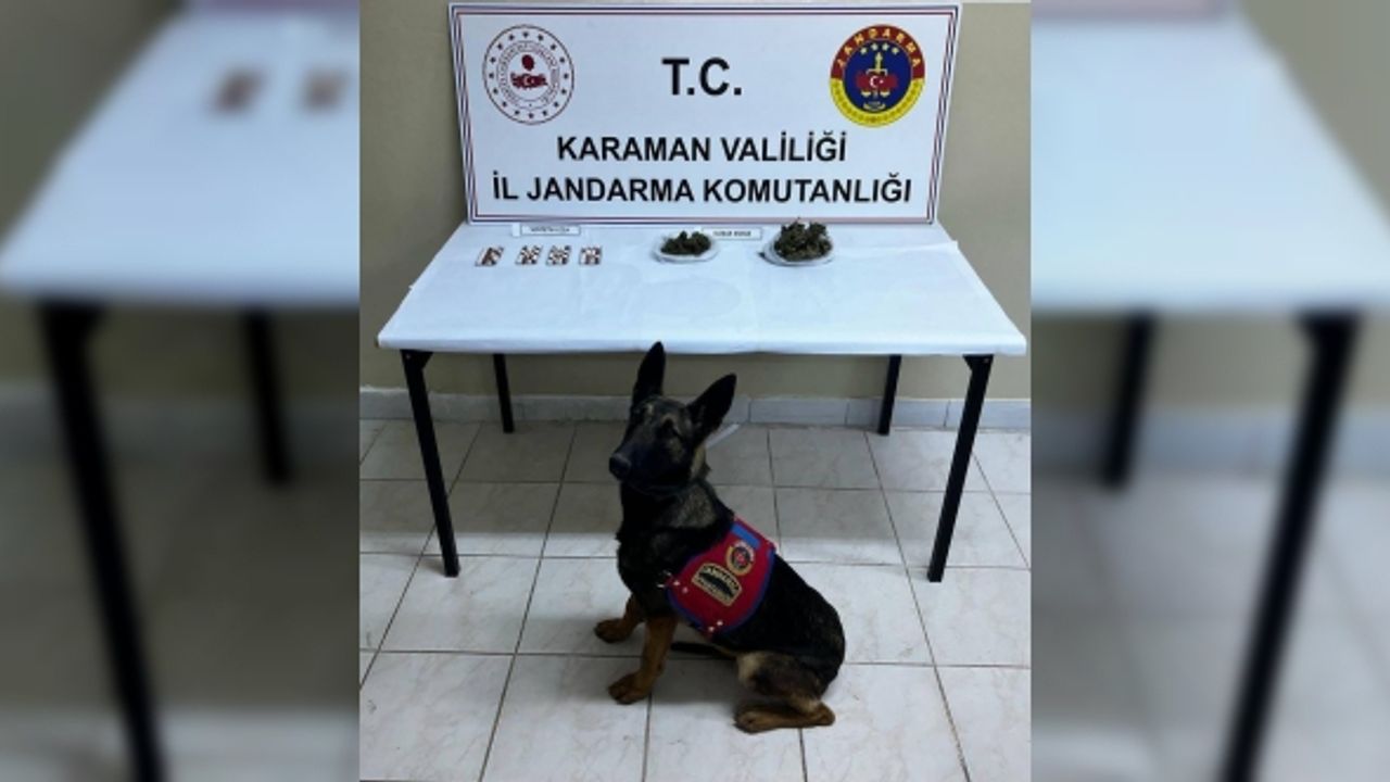 Narkotik köpeği ile arama yapılan araçta uyuşturucu ele geçirildi