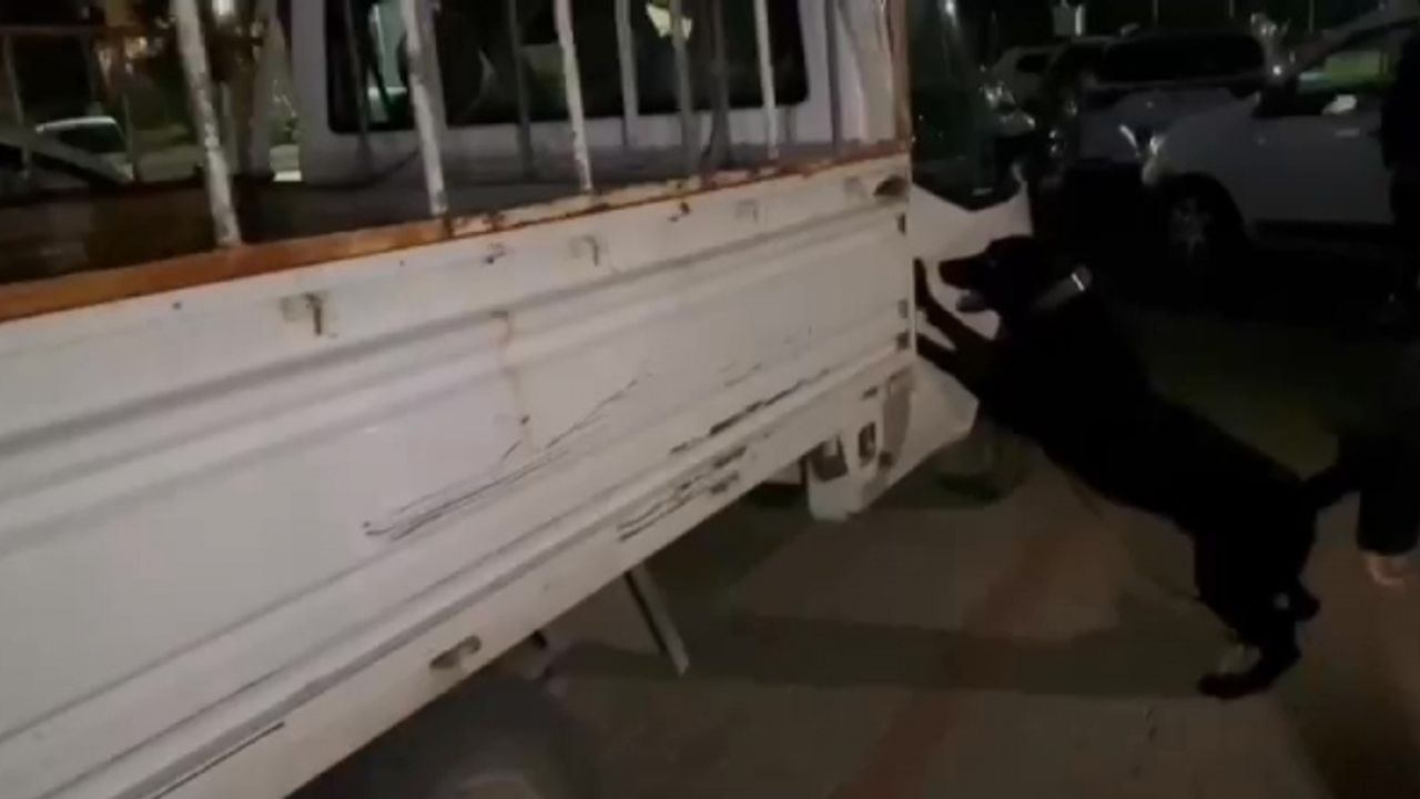 Narkotik polisleri kovalama sonucu durduğu kamyonette 7 kilogram 400 gram esrar ele geçirdi