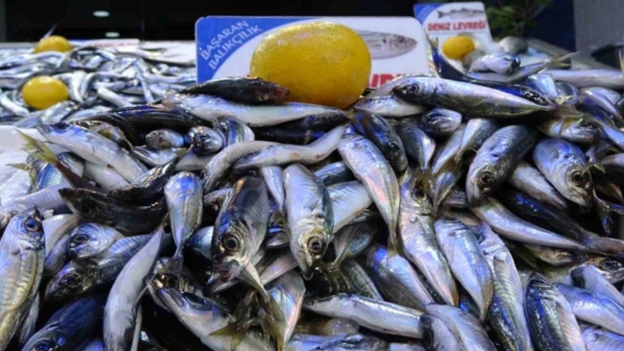 Olumsuz hava şartları sonrası avlanma azaldı, balık fiyatları 2’ye katladı