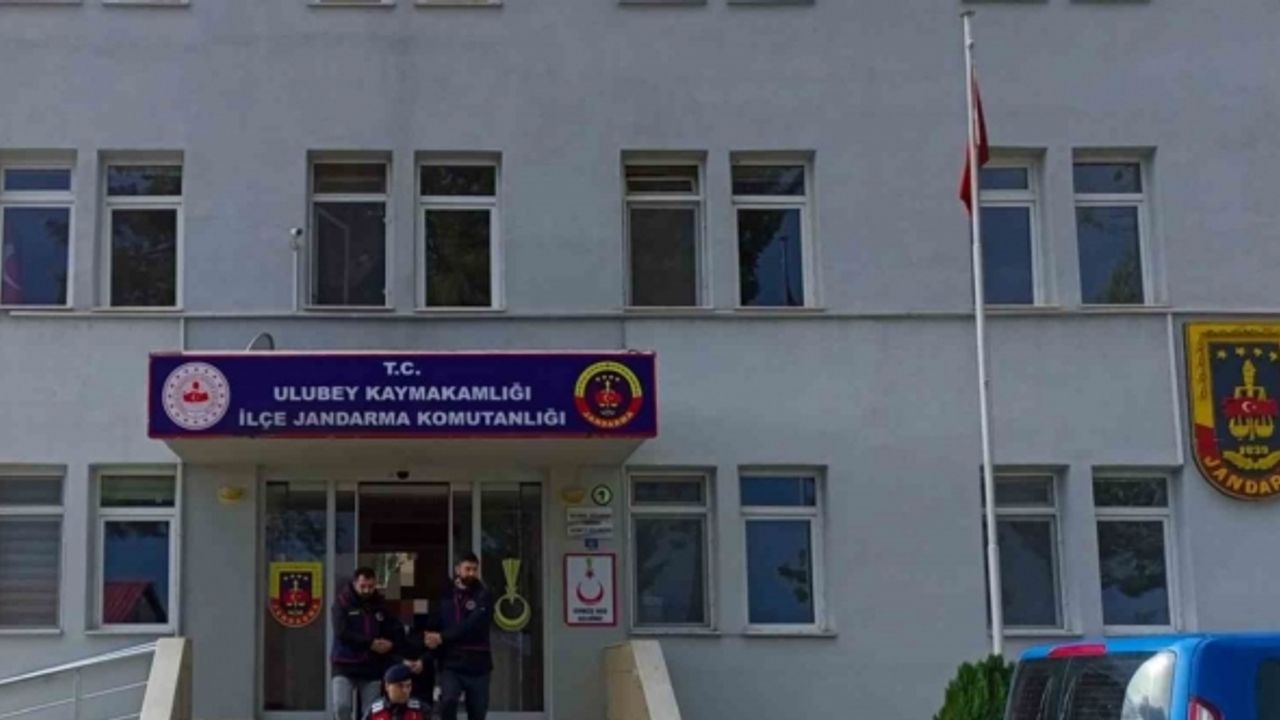 Ordu’da 100 bin TL’lik fındık çalan şüpheli yakalandı