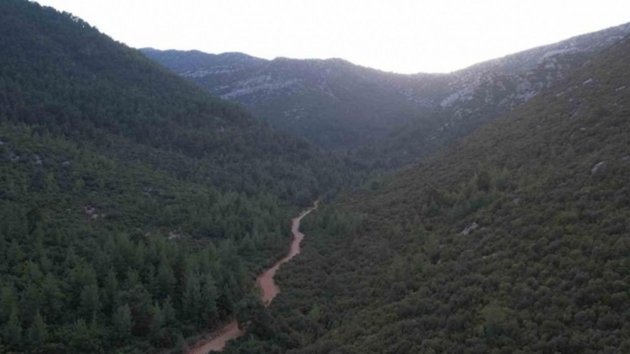 OYAK Çimento, Antalya’daki üretim sahasını yeniden doğaya kazandırıyor