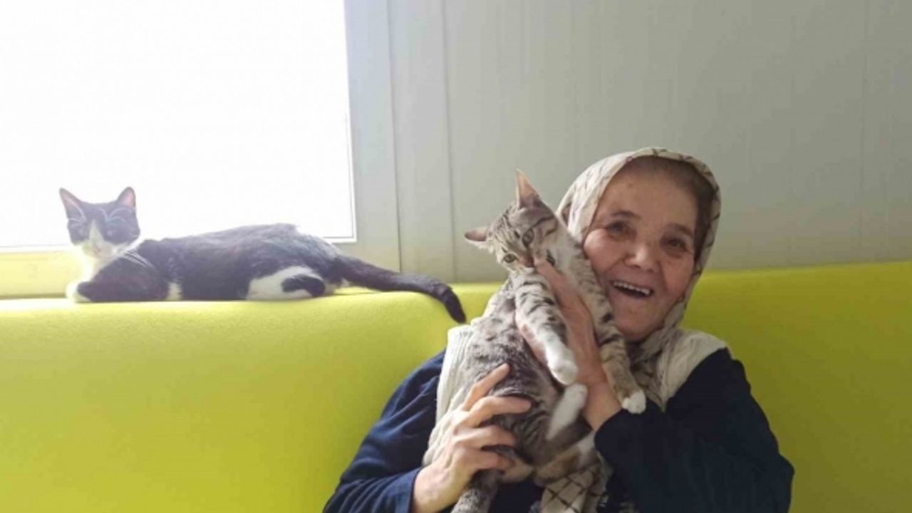 Şaziye teyze konteyner evinde kedileriyle hayatını sürdürüyor