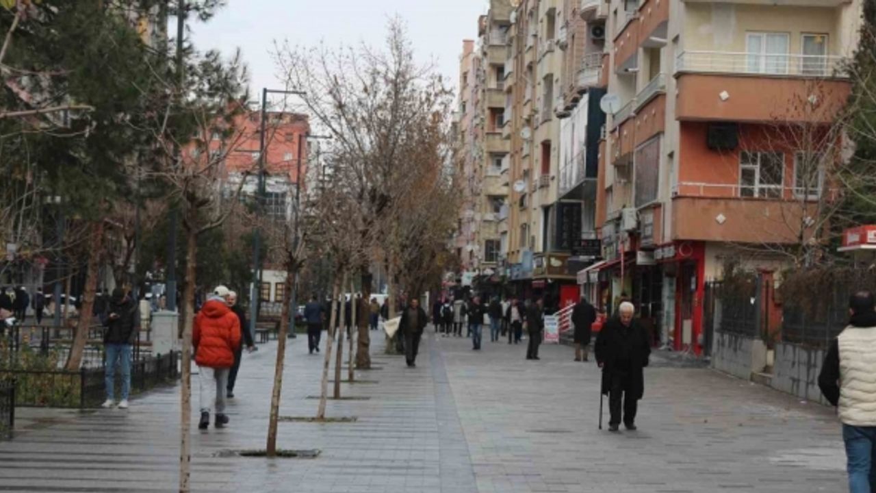 Siirt en genç nüfus oranında üçüncü il oldu