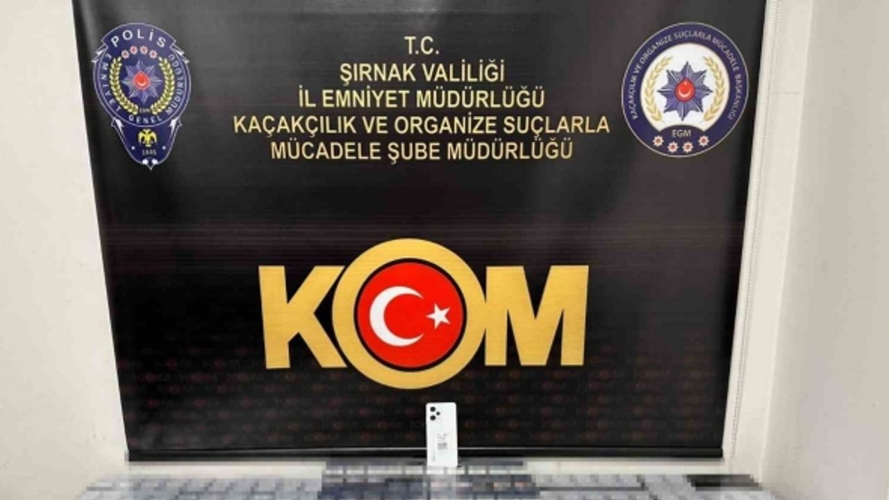 Şırnak’ta asayiş ve kaçakçılık olaylarında 43 şüpheli gözaltına alındı