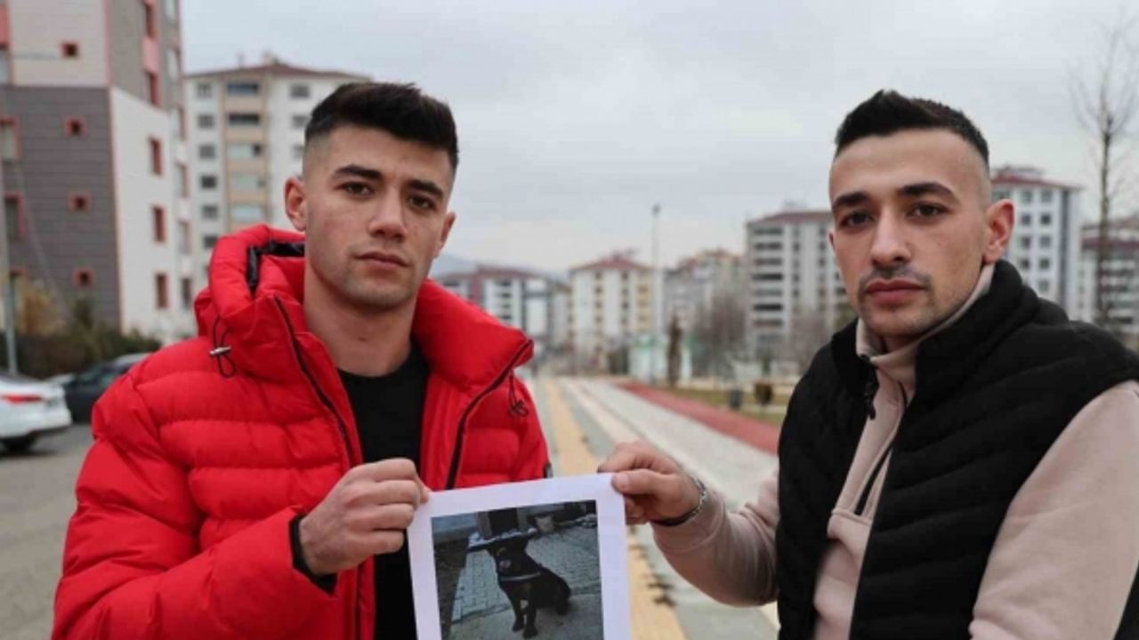 Sokak sokak gezerek köpeğini arıyor, bulana ödül verecek