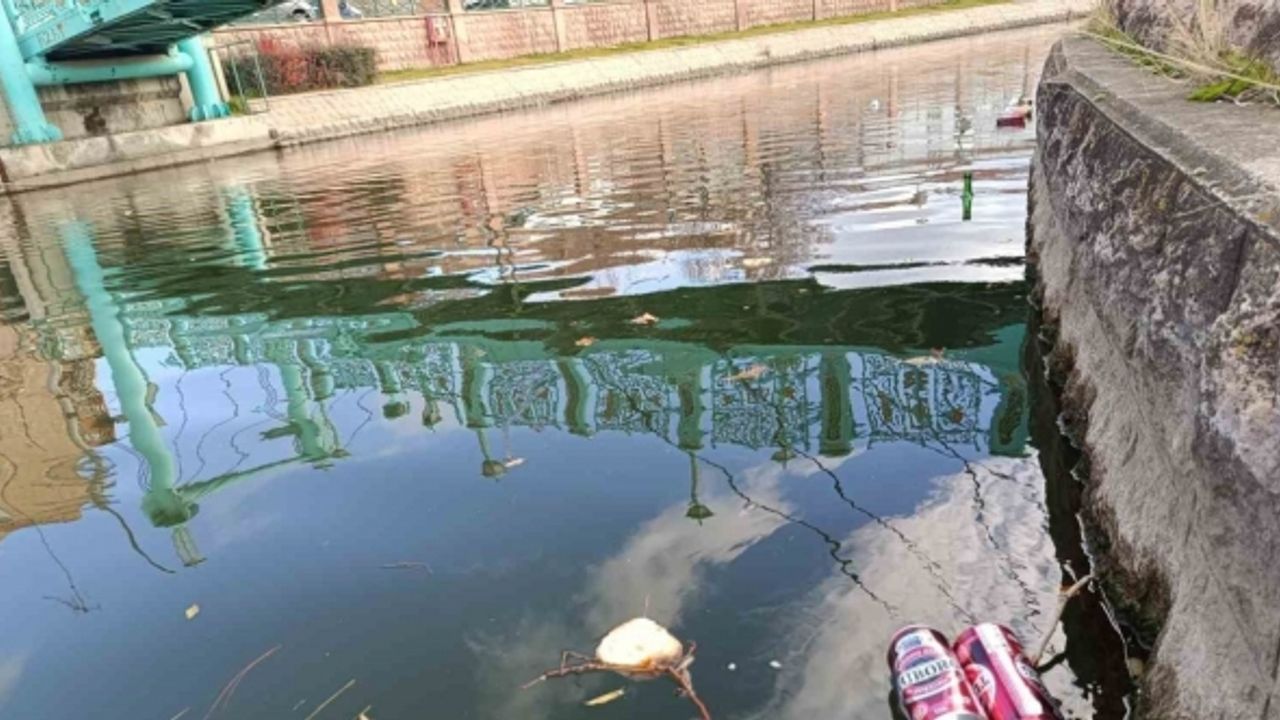 Sorumsuzca kirletilen Porsuk Çayı için ’Balık ağı benzeri setler’ önerisi