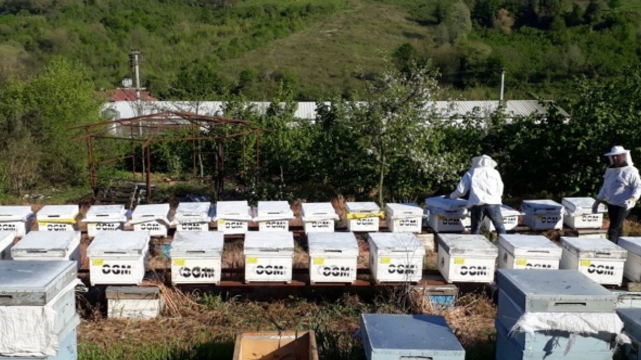 Süt ve bal üreticiliği için 1 milyon 444 bin lira destek
