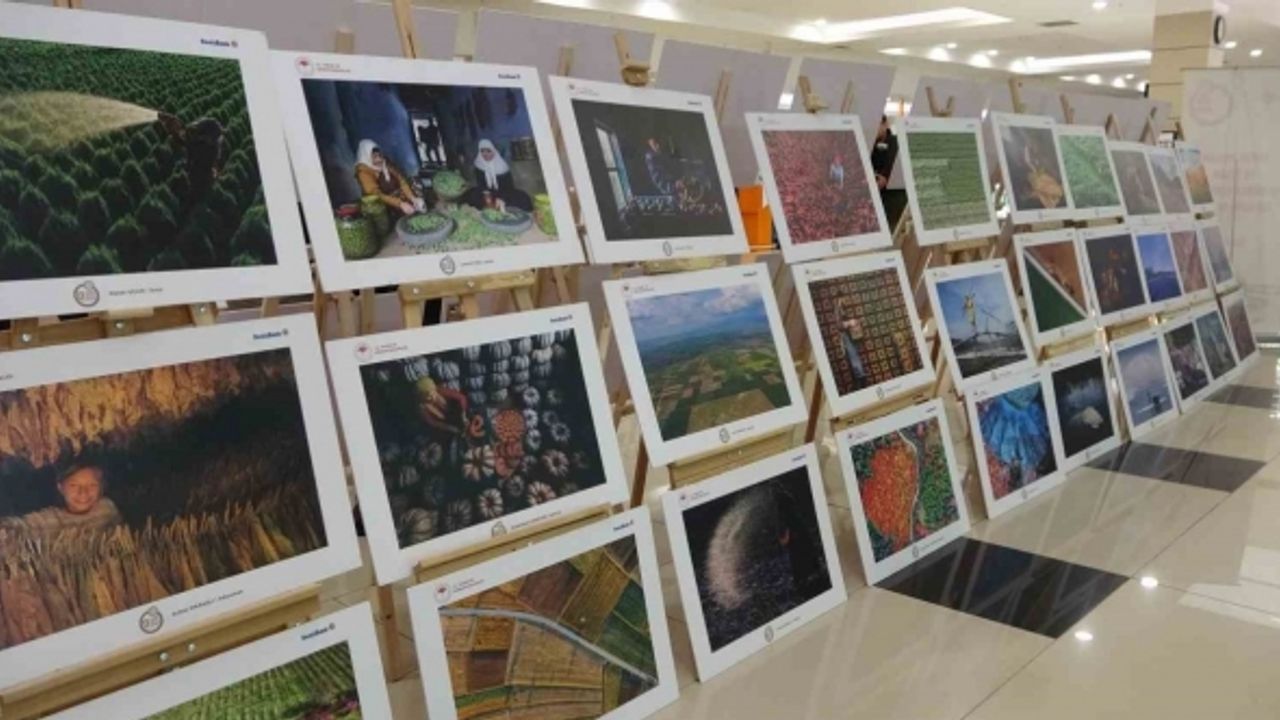 Tarım, orman ve insanı anlatan fotoğraflar Uşaklılarla buluştu