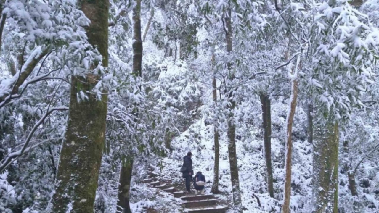 Tayvan’da soğuk hava dalgası: 2 günde 145 kişi öldü