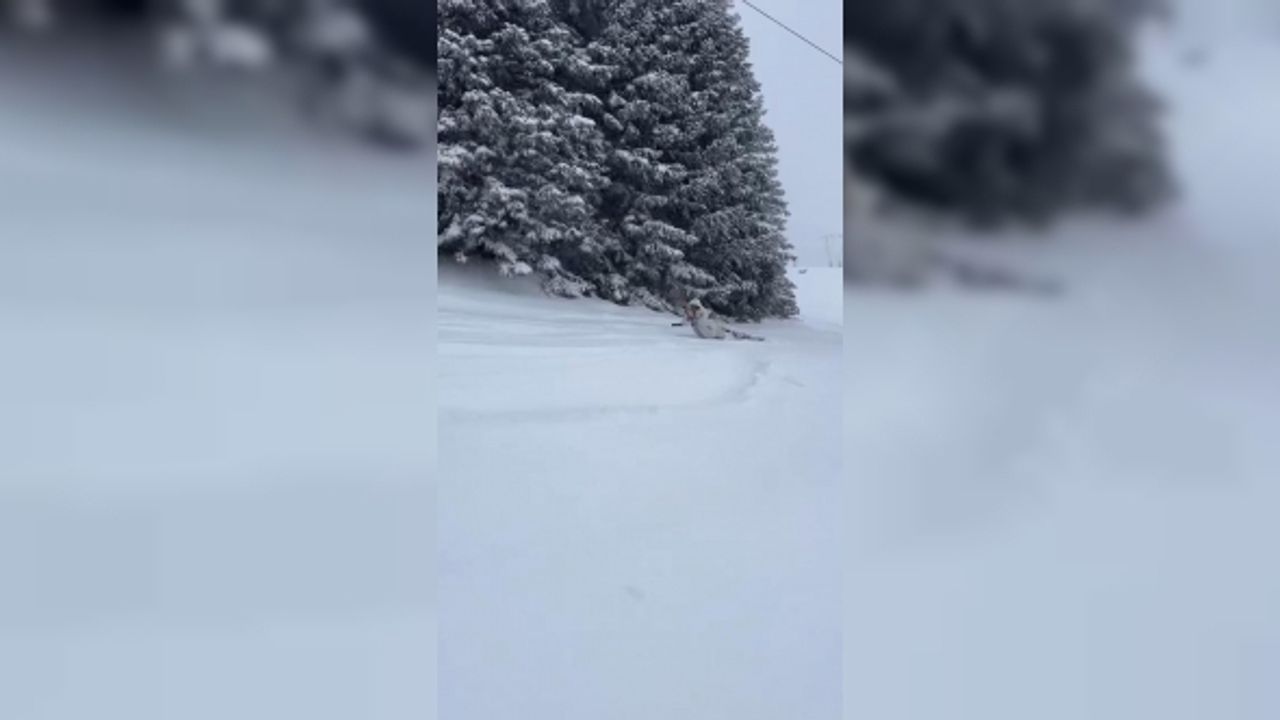 Telesiyej ile çıkarken dengesini kaybetti, sürünerek zirveye çıktı