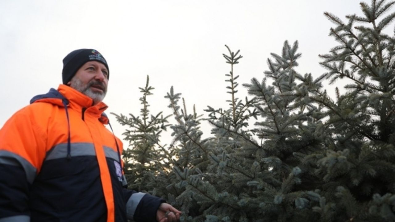 Türkiye’nin en büyük üretim ve lojistik üssü fidanlığı Kocasinan’da