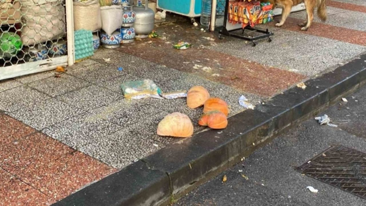 Uşak’ta dükkan sahibi ve kiracı arasında çıkan tartışmada 6 kişi yaralandı