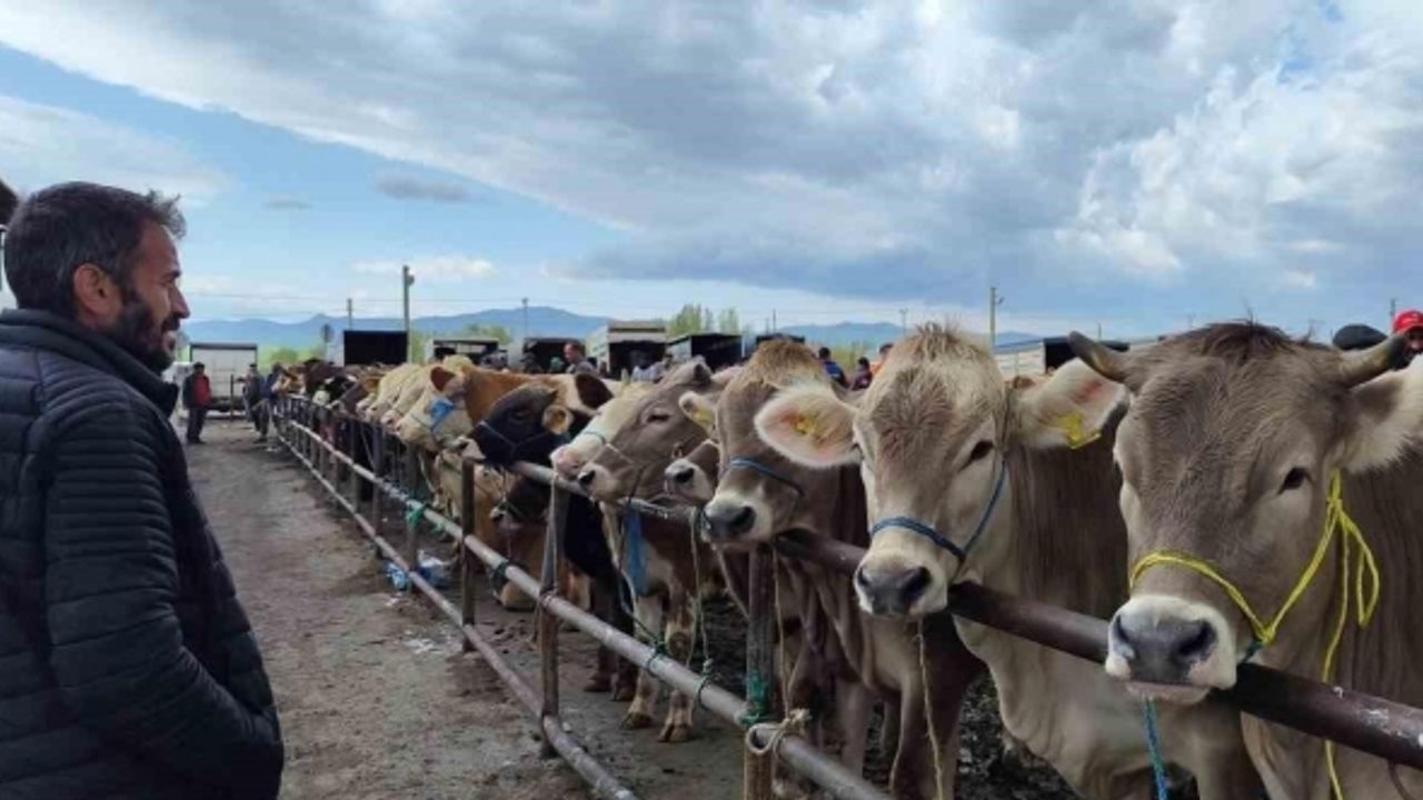 Uzmanı uyardı, o hastalık ağızda oluşan lezyonlarla kendini gösteriyor