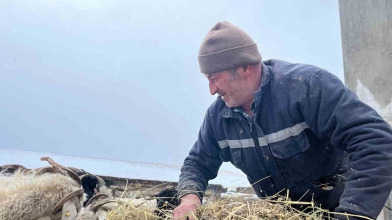 Yağan kar ve ayazla birlikte besicilerin işleri güçleşti