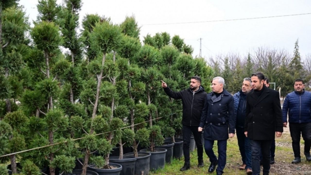 Yeşilyurt Belediyesi fidanlık alanı, Yeşilyurt’a nefes oluyor
