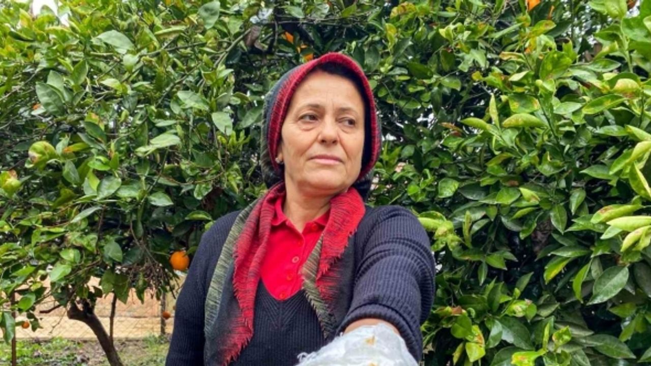 Yumurta toplamak için bahçeye giren kadın, dobermanın saldırısına uğradı