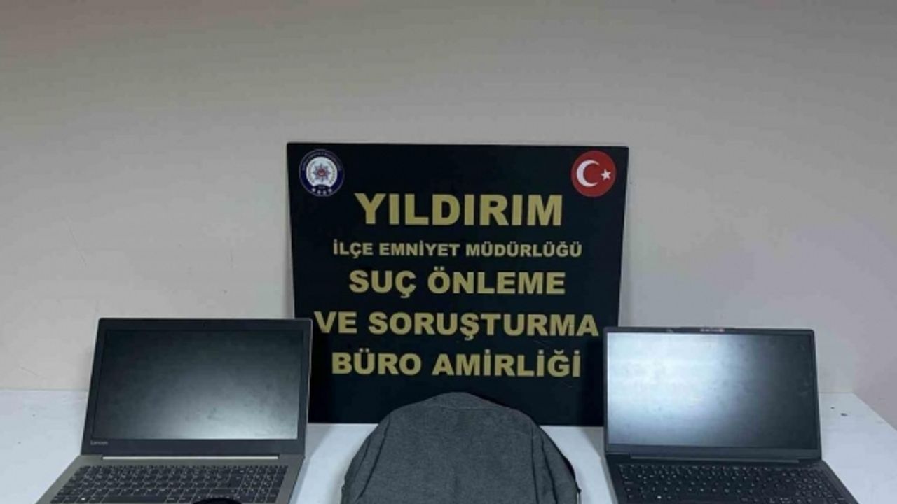 Ağaca çıkan maymun değil hırsız... Çıktığı ağaçta polise el salladı