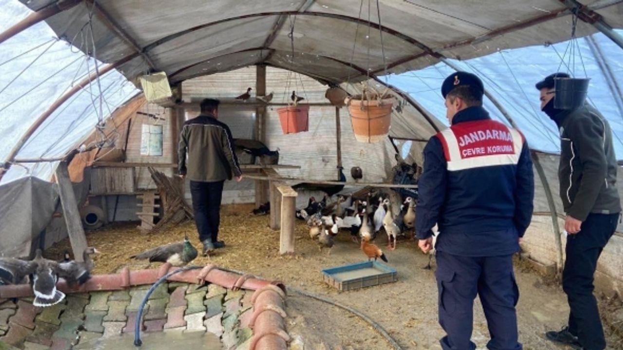 Aksaray’da yaban hayvanı ticaretine 78 bin 650 TL ceza