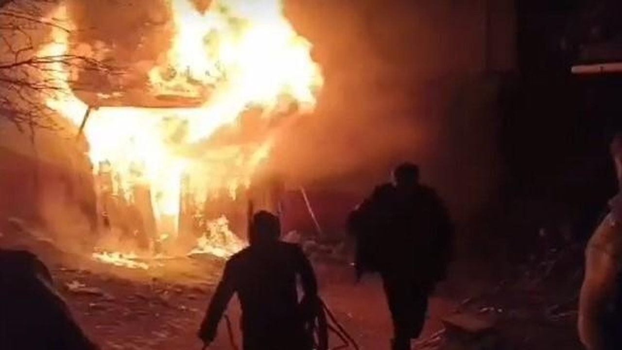 Alevler arasında kalan 29 küçükbaş hayvan telef oldu