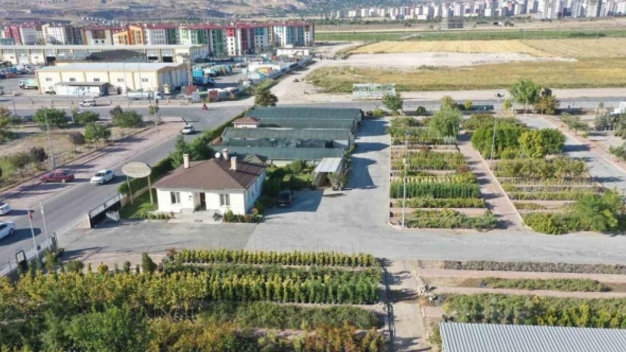 Başkan Çolakbayrakdar: “Kişi başına düşen 18 metrekare yeşil alan ile rekoru yenileyeceğiz”