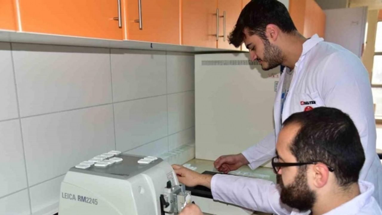 BAÜN Veteriner Teşhis ve Analiz laboratuvarına çalışma izni