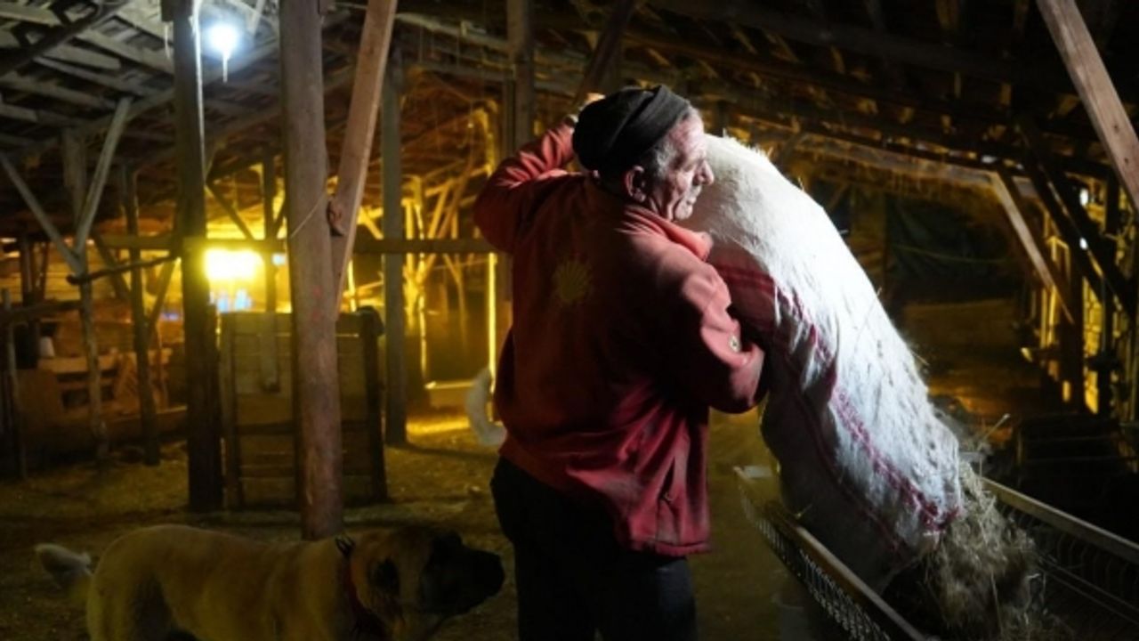 Bayburt’taki besici eksi 25 derecede hayvancılık işini severek yapıyor sürüsüne gözü gibi bakıyor