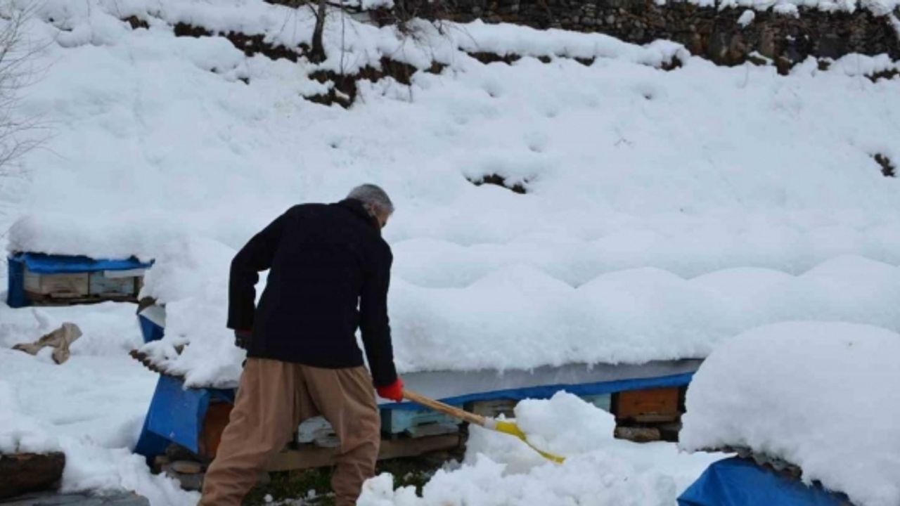 Beytüşşebap’ta arıcılar arılarını kardan korumaya çalışıyor