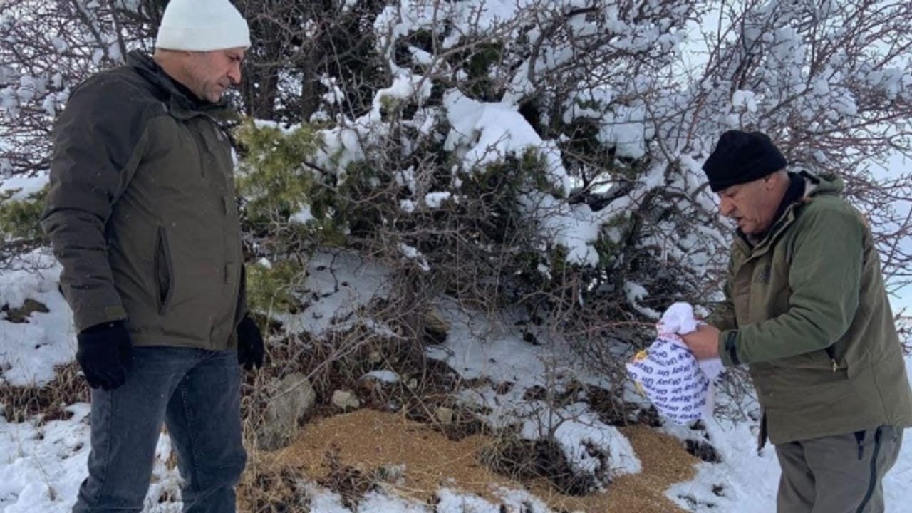 Elazığ’da yaban hayvanları unutulmadı: Doğaya 300 kilo yem bırakıldı