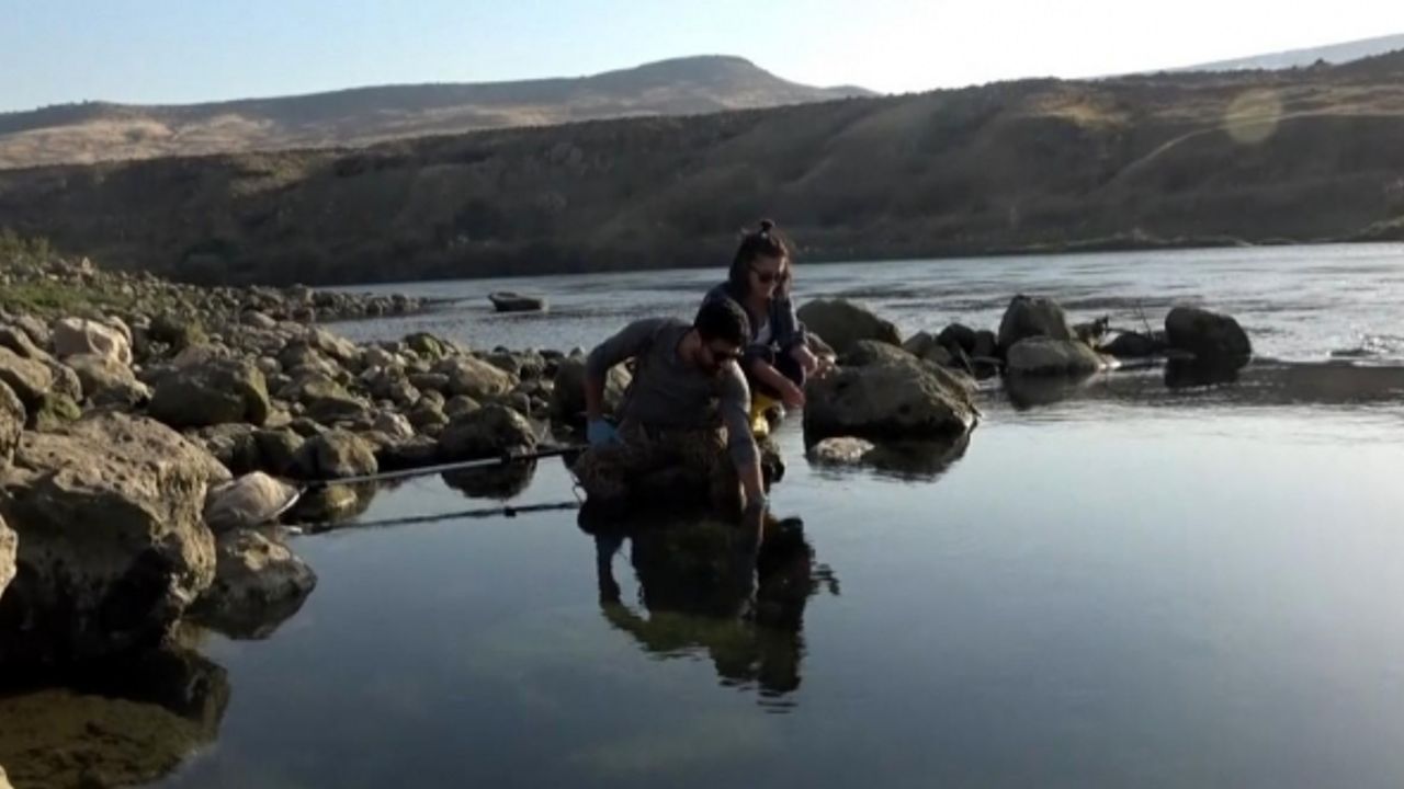 Fırat Nehrinde balıkları öldürücü etkiye sahip herhangi bir değer rastlanmadı