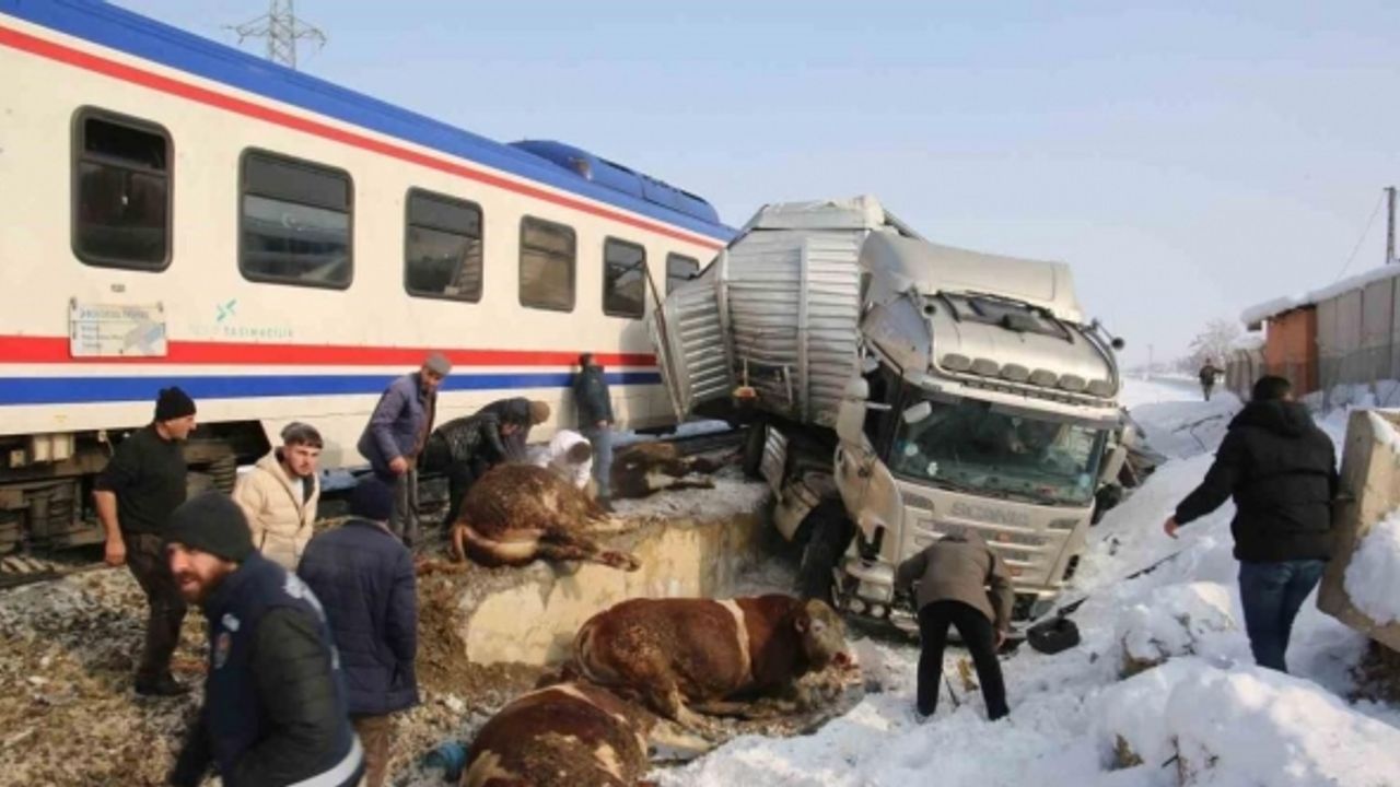 Hayvan yüklü tıra tren çarptı: 2 kişi hayatını kaybetti