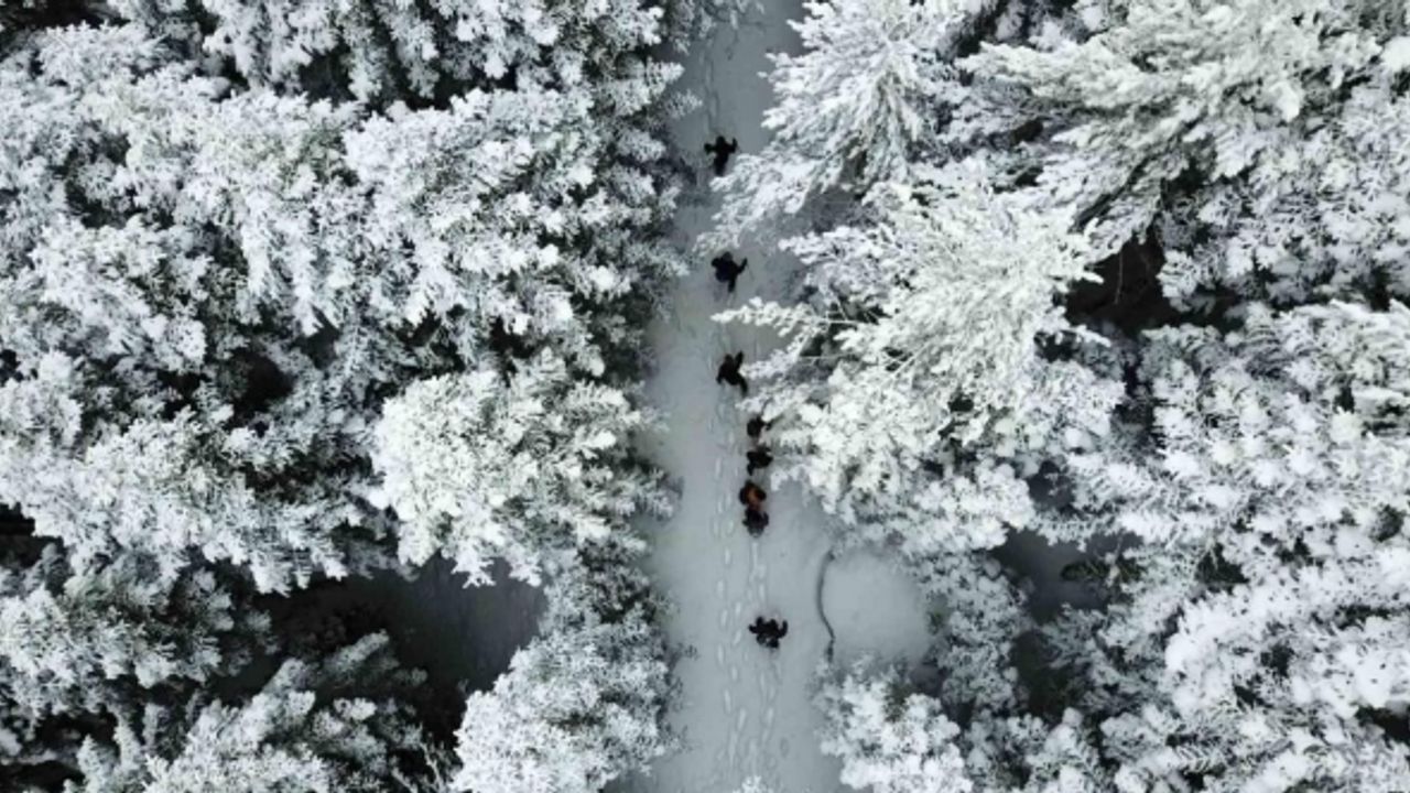 Kar altında büyüleyici güzellik: Gümüşhane-Şiran sınırındaki Tersun Dağı’nda doğa yürüyüşü