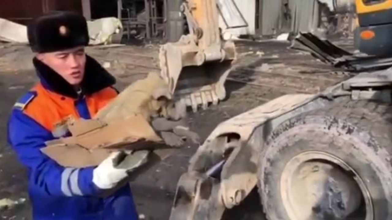 Kırgızistan’da santraldeki patlamanın 3’üncü gününde enkazdan bir köpek kurtarıldı