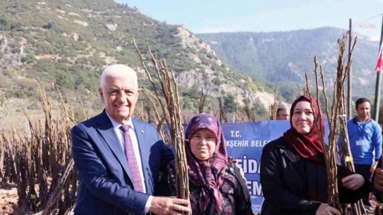 Muğla Büyükşehir Belediyesi 53 bin adet meyve fidanı dağıtıyor