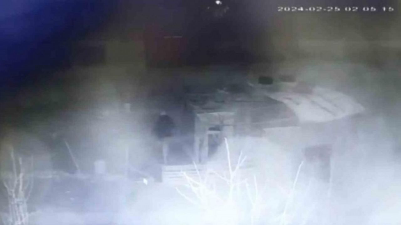 (ÖZEL) Kümes hırsızının rahat tavırlar sergileyerek tavuk çalması güvenlik kamerasında