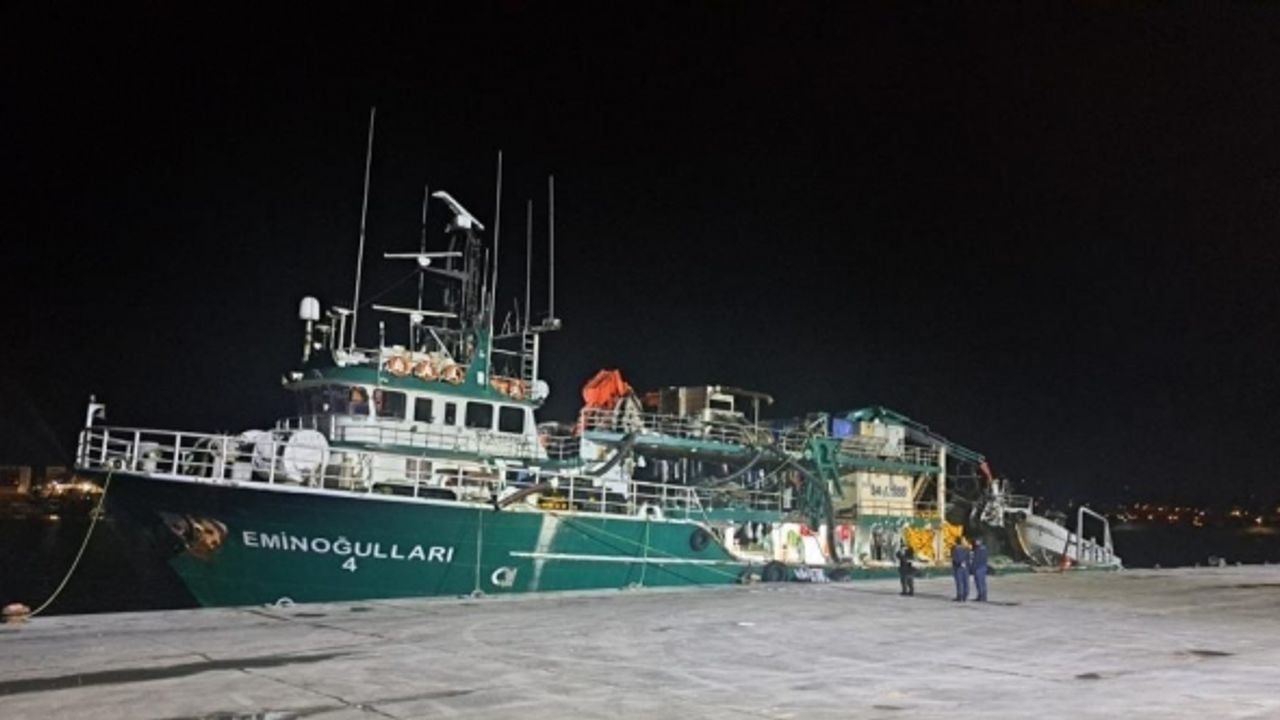 Prof. Dr. İlhan Altınok: “Hamsi gazı denilen bir gaz yoktur”