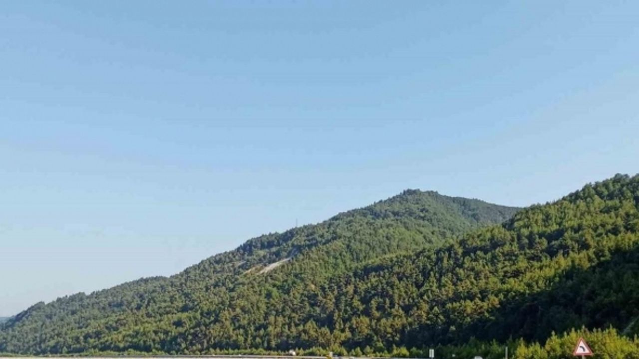 Samsun’a 2023 yılında 504 milyon TL’lik orman yatırımı