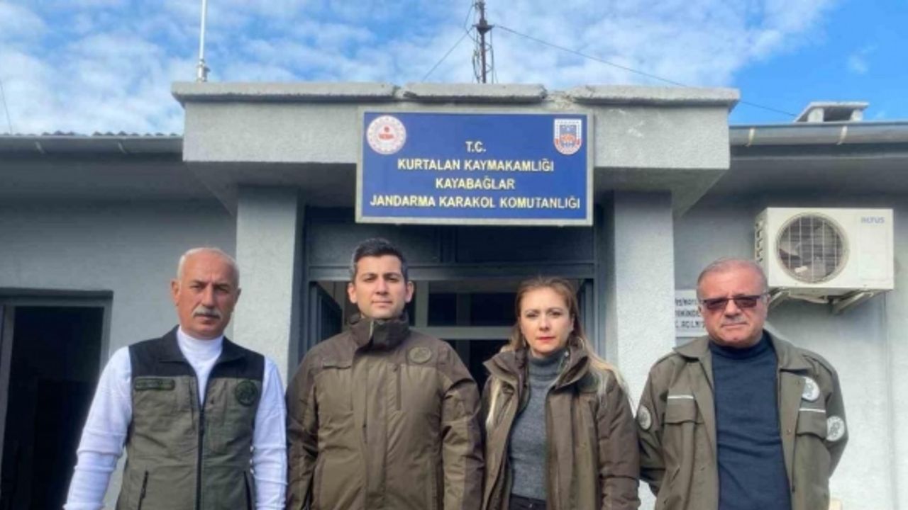 Siirt’te kaçak avcılık yapan 1 kişiye para cezası kesildi