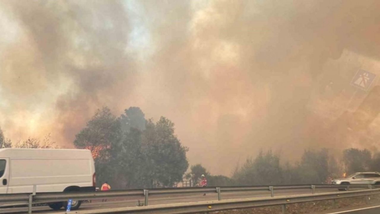 Şili’deki orman yangınlarında 10 kişi öldü, OHAL ilan edildi