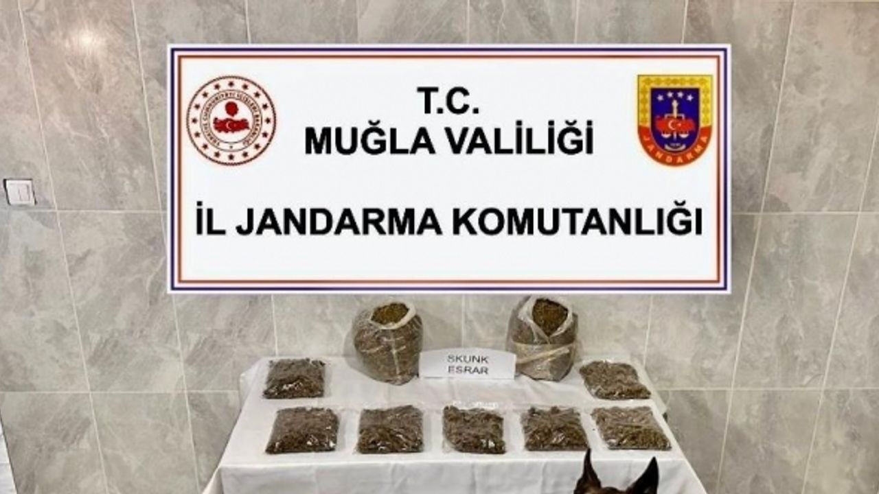 Yatağanda uyuşturucu operasyonu: 1 gözaltı