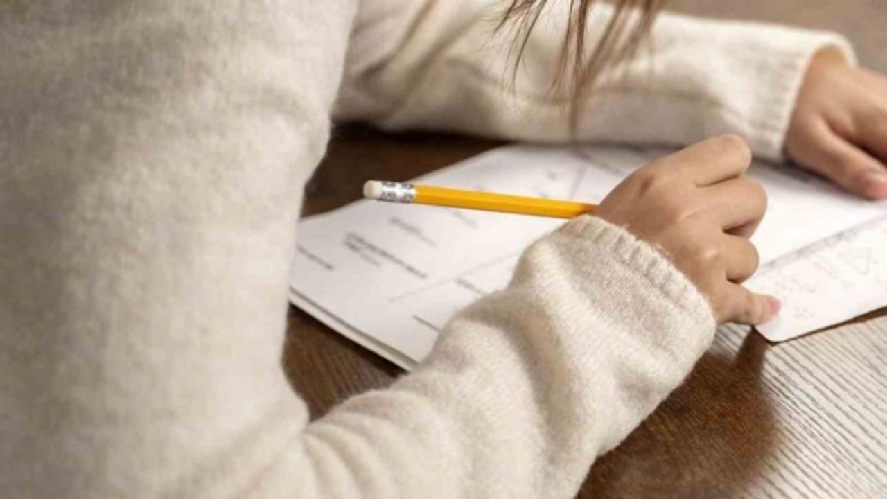 Aydın’da öğrenciler için hafta sonu da açık olacak