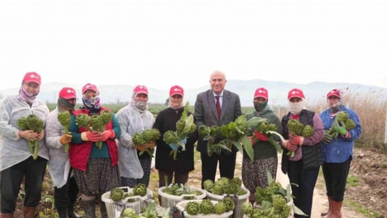 Başkan Atay’dan enginar, kuşkonmaz ve şevketi bostan hasadı