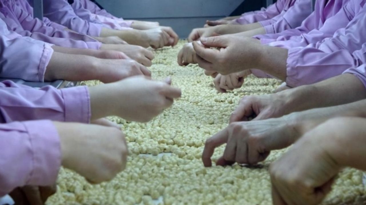 Düzce’den AB ülkelerine 2 bin 835 ton fındık ihraç edildi