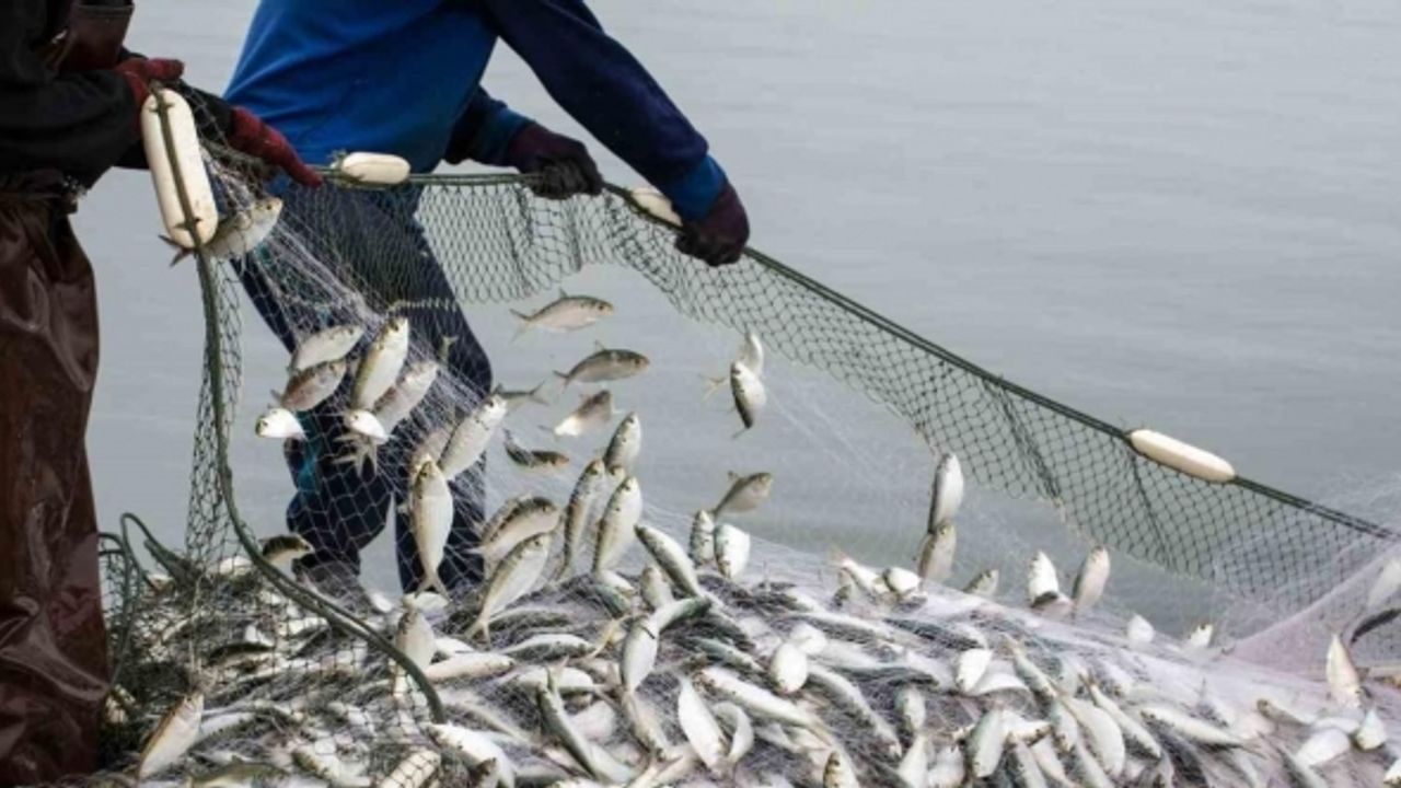 Muğla’nın ihracatının yüzde 73’ünü su ürünleri sektörü yaptı