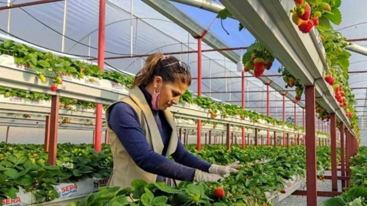 Seracılıkta kendini kanıtladı, şimdi başkalarını üretici yapmak istiyor