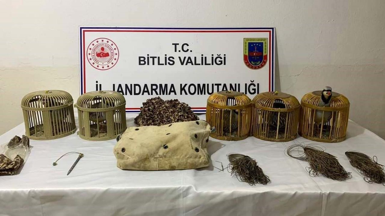 Bitlis’te keklik avlayan 2 kişiye 63 bin lira para cezası uygulandı