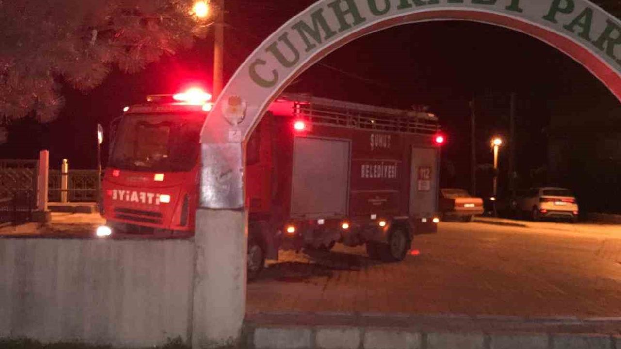 Çay yatağında mahsur kalan köpekleri itfaiye kurtardı