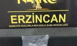 Erzincan’da 523 gram skunk ele geçirildi