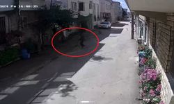 Bursa’da sokak köpekleri 3 çocuğa saldırdı, olay anı kameraya yansıdı
