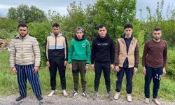 Edirne’de 6 kaçak göçmen jandarmadan kaçamadı